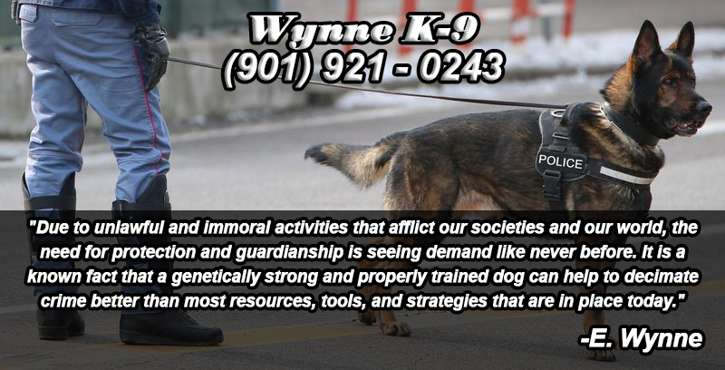Wynne k9 security and working dog training